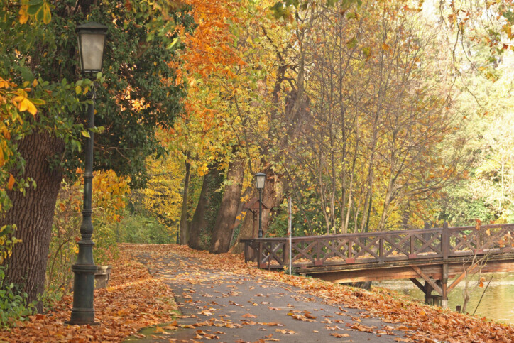 Bilder Bestattungsinstitut Rolf Lange