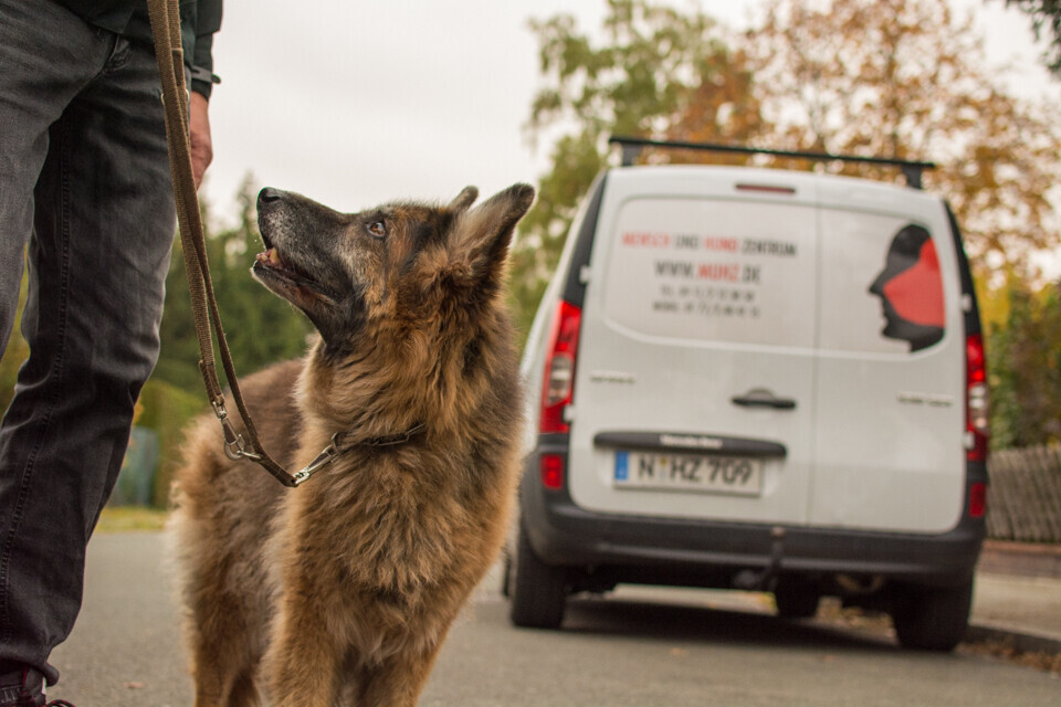 Bilder MenschUndHundZentrum