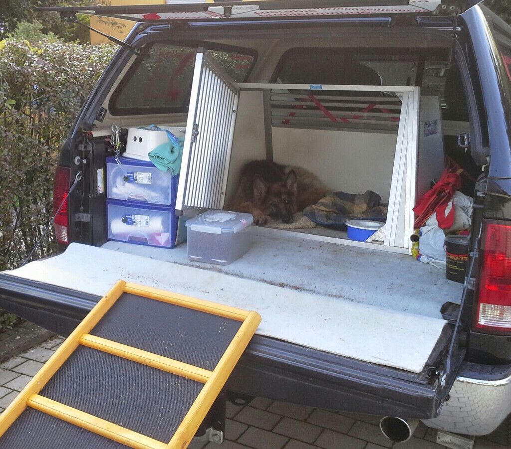 Bilder MenschUndHundZentrum