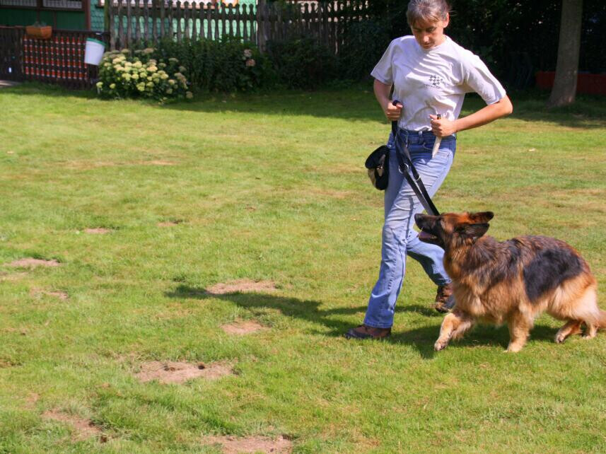 Bilder MenschUndHundZentrum