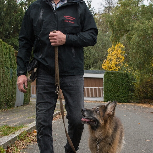 Bilder MenschUndHundZentrum