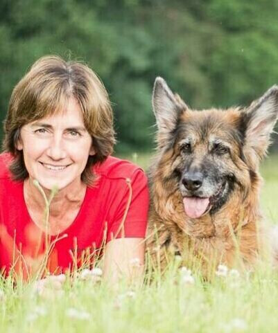 Bilder MenschUndHundZentrum