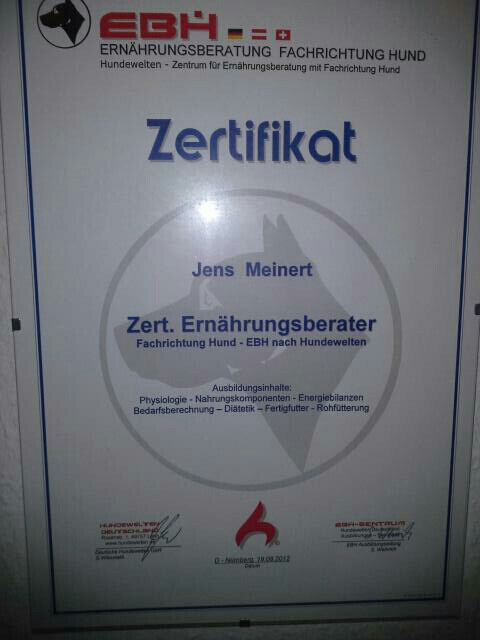 Bilder MenschUndHundZentrum