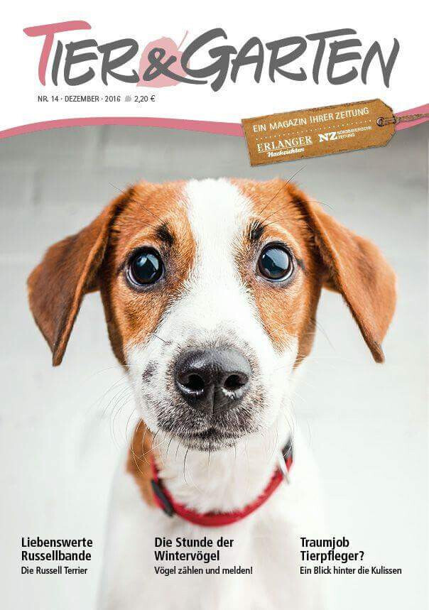 Bilder MenschUndHundZentrum