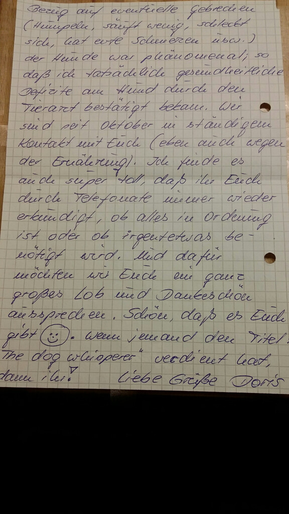 Bilder MenschUndHundZentrum