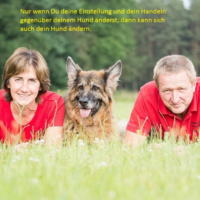 Bilder MenschUndHundZentrum