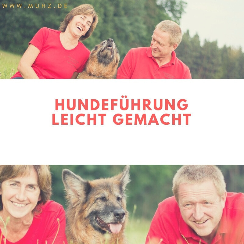 Bilder MenschUndHundZentrum