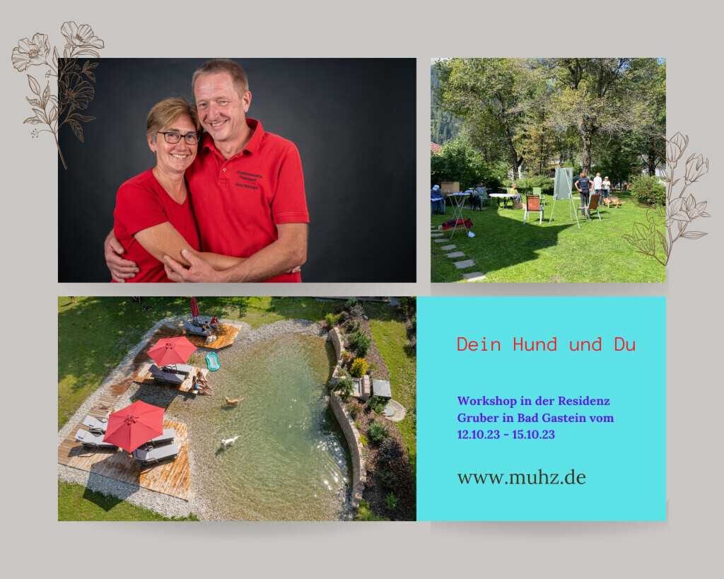 Bilder MenschUndHundZentrum