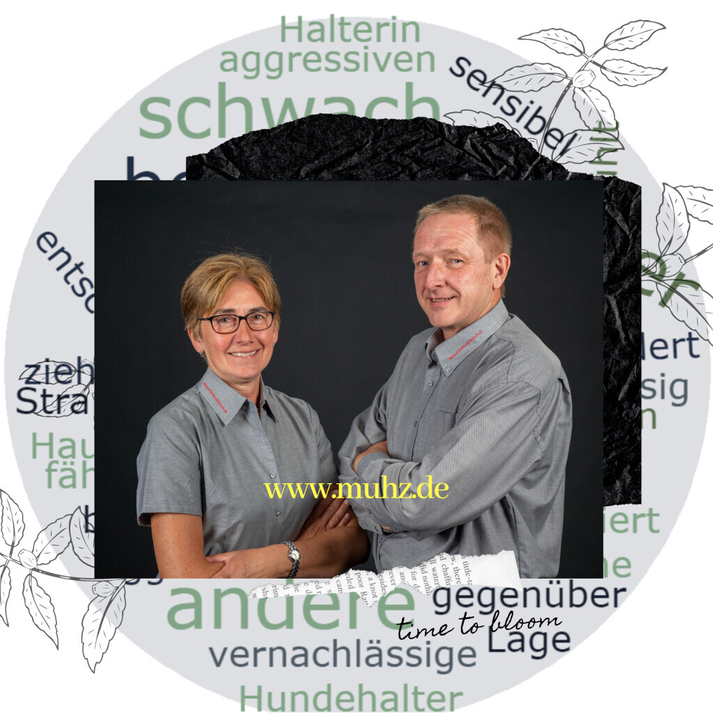 Bilder MenschUndHundZentrum