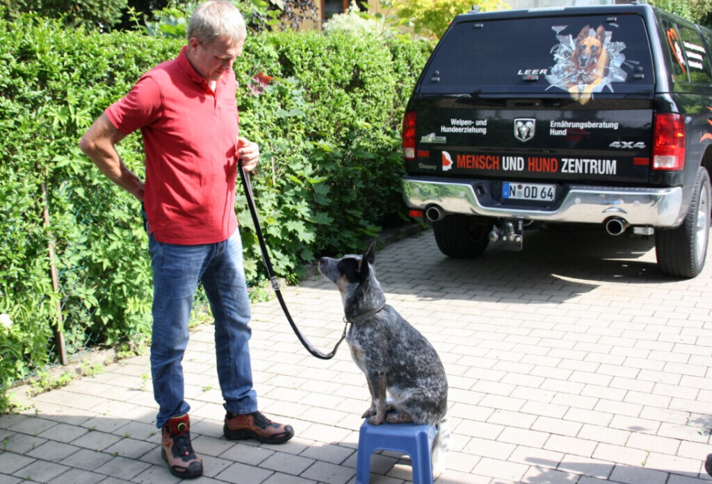 Bilder MenschUndHundZentrum