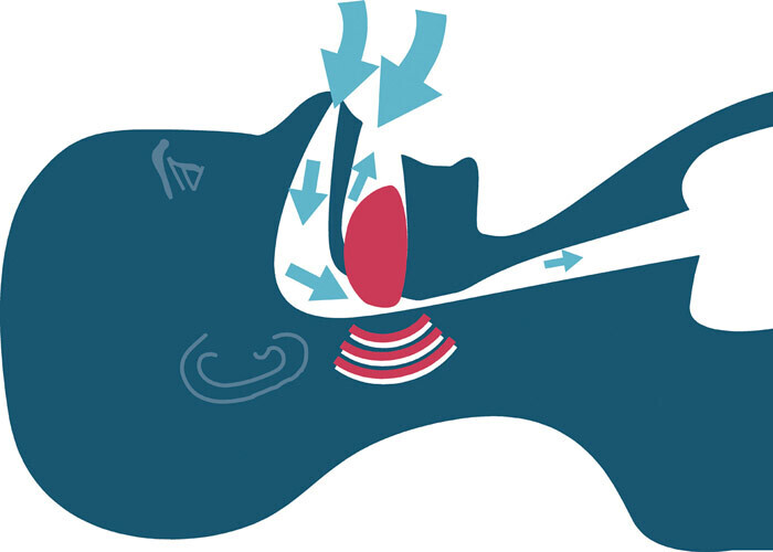 Bilder Thomas Graf Dental Atelier