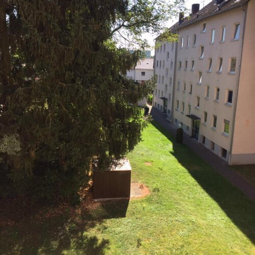 Bilder Hausmeister-Service Muminovic GmbH