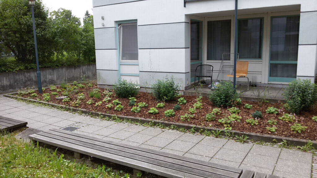 Bilder Grün & mehr Garten- und Landschaftsbau Thorsten Merkle