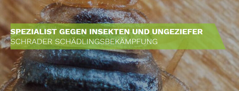 Bilder Schrader Schädlingsbekämpfung