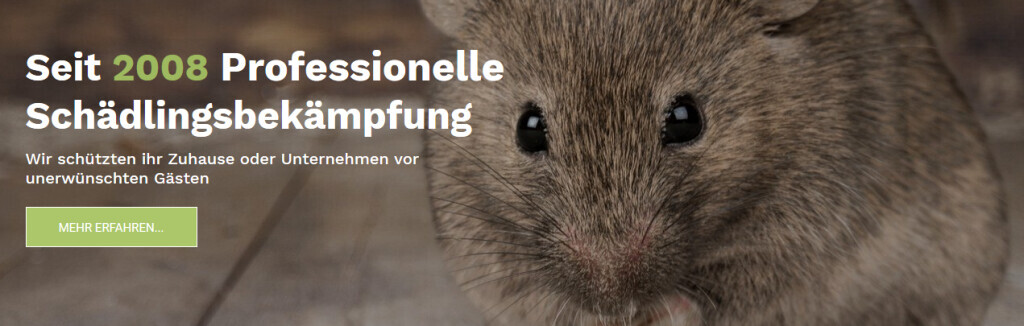 Bilder Schrader Schädlingsbekämpfung