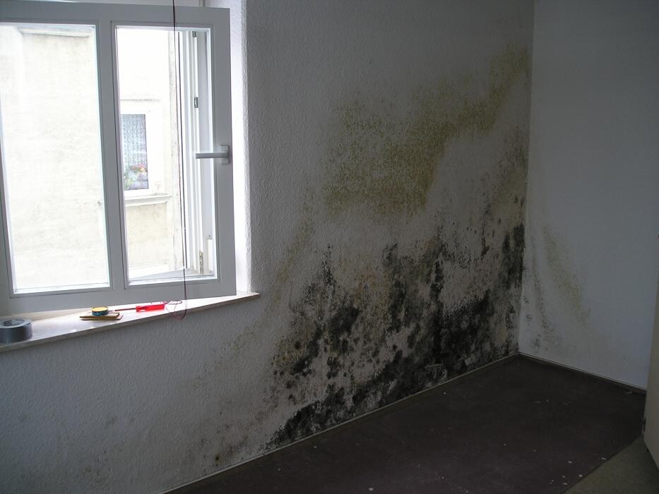Bilder Bautrockenlegung Klaus Rinke