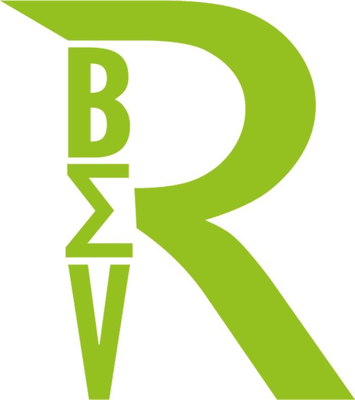 Reich-BMV Logo