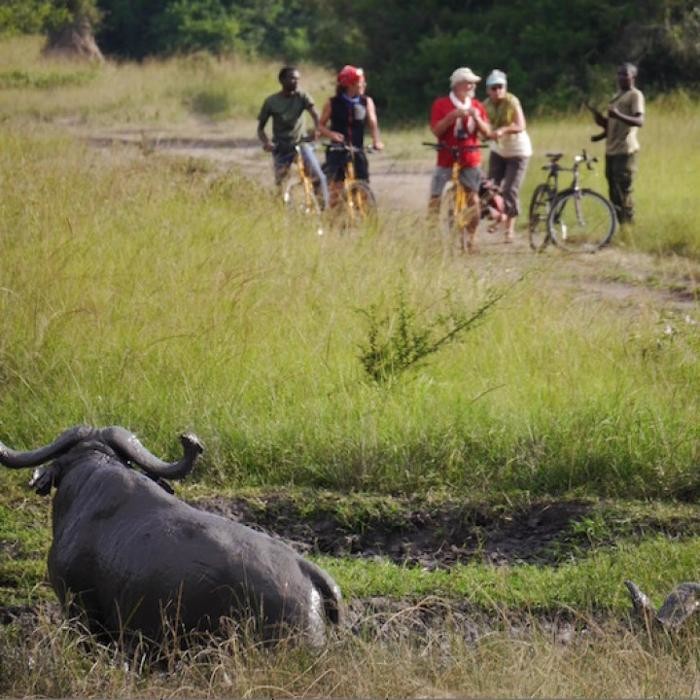 Bilder UGANDA-TRAILS LTD