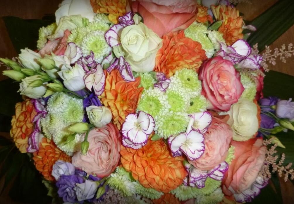 Bilder Blumen Lessle