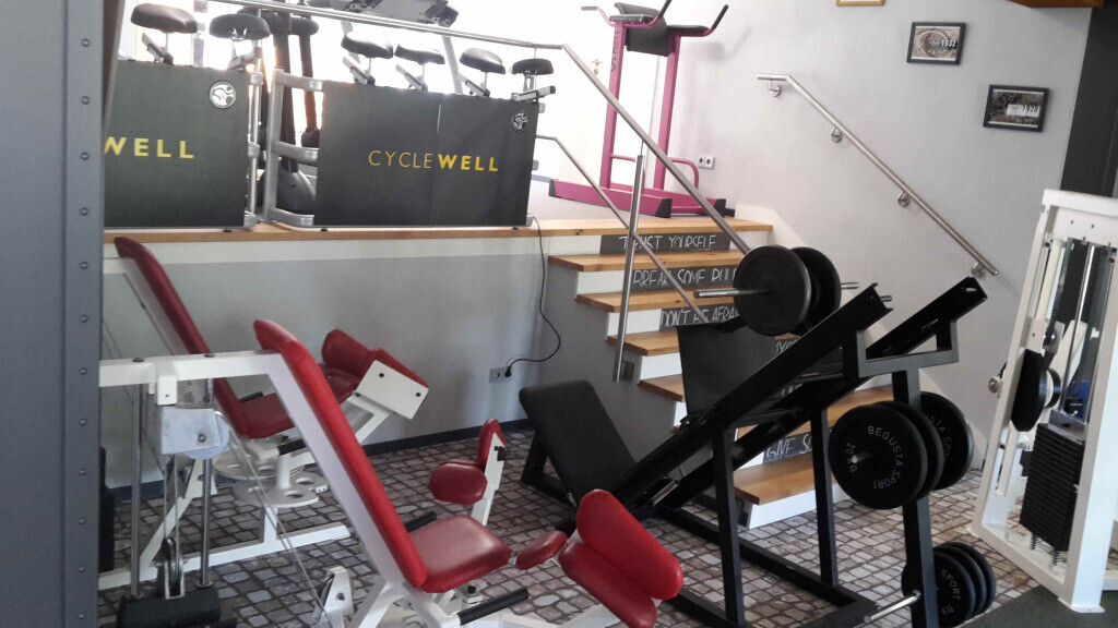 Bilder Wild Power Zone Fitnesscenter