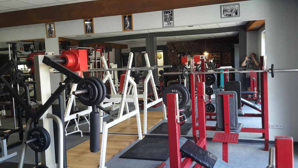 Bilder Wild Power Zone Fitnesscenter