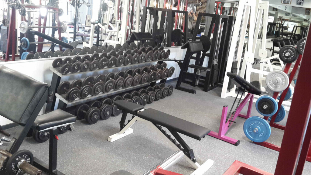 Bilder Wild Power Zone Fitnesscenter