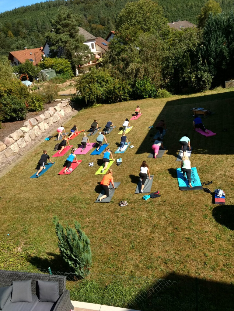 Bilder Wild Power Zone Fitnesscenter