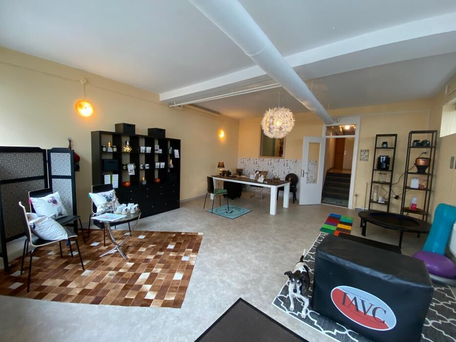 Bilder Tierarztpraxis MedicalVet.Life