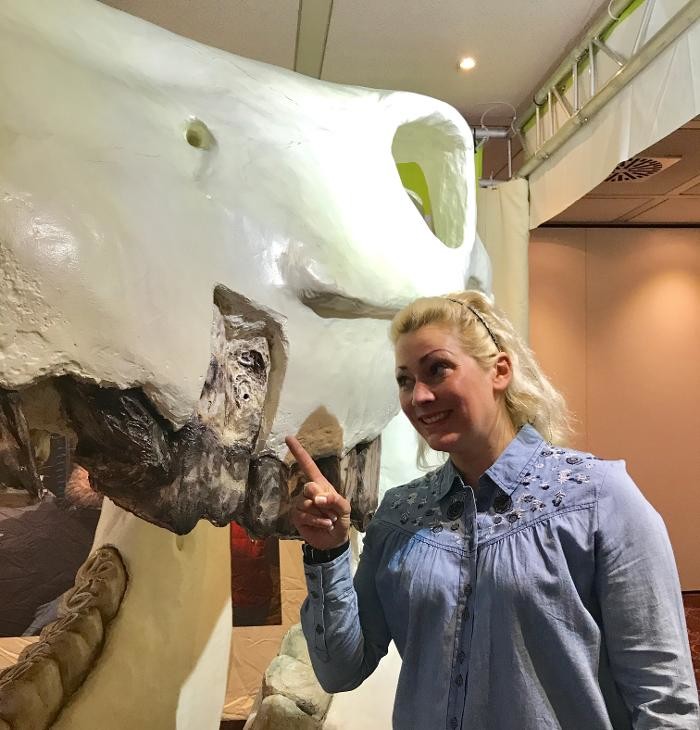 Bilder Tierarztpraxis MedicalVet.Life