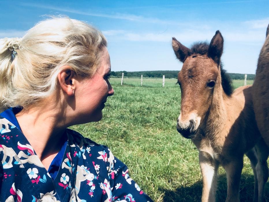 Bilder Tierarztpraxis MedicalVet.Life