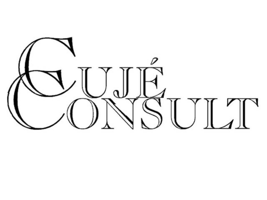 CujéConsult Gmbh Logo