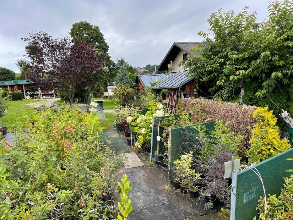 Bilder Tannenhof Lengefeld Baumschule