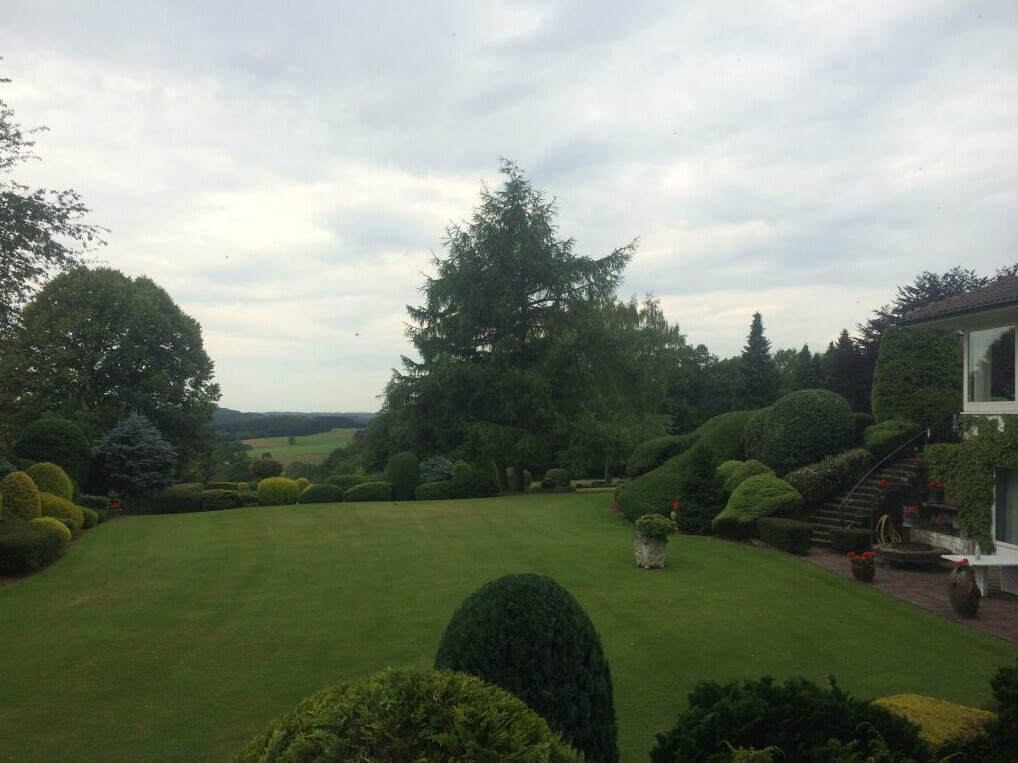 Bilder Baumpflege Oliver Schäfer