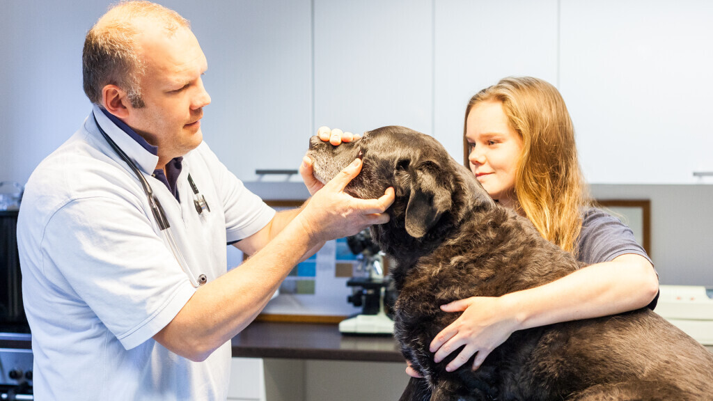 Bilder Tierarztpraxis Wolfgang Kahle (Rufbereitschaft 07:00 - 20:00 Uhr)