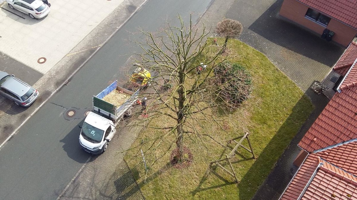 Bilder Baumpflege Klückers GmbH