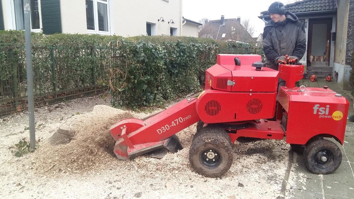 Bilder Baumpflege Klückers GmbH