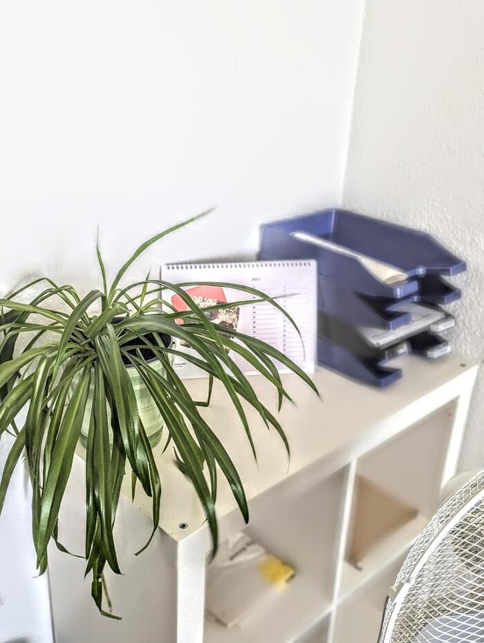 Bilder WBS TRAINING Bergen auf Rügen