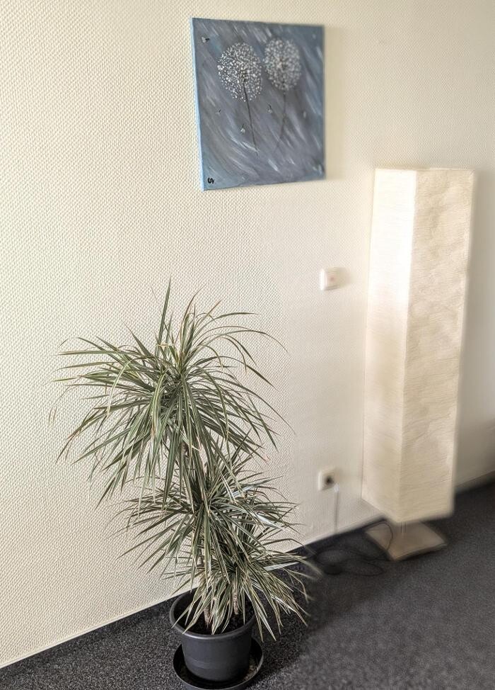 Bilder WBS TRAINING Bergen auf Rügen