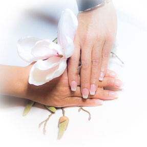 Bilder Dubai Beauty Kosmetikstudio