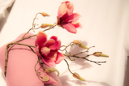 Bilder Dubai Beauty Kosmetikstudio