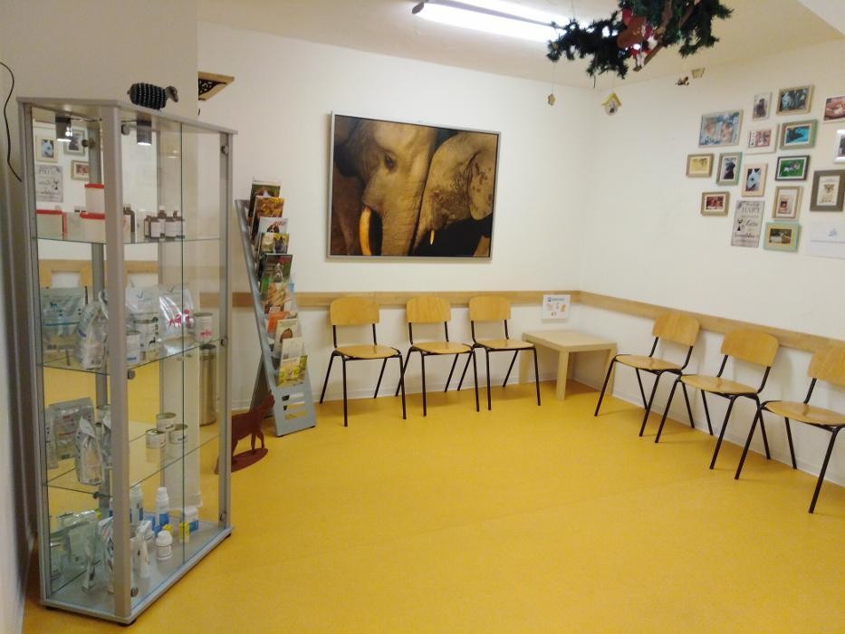 Bilder Tierarztpraxis Sylvia Reiche