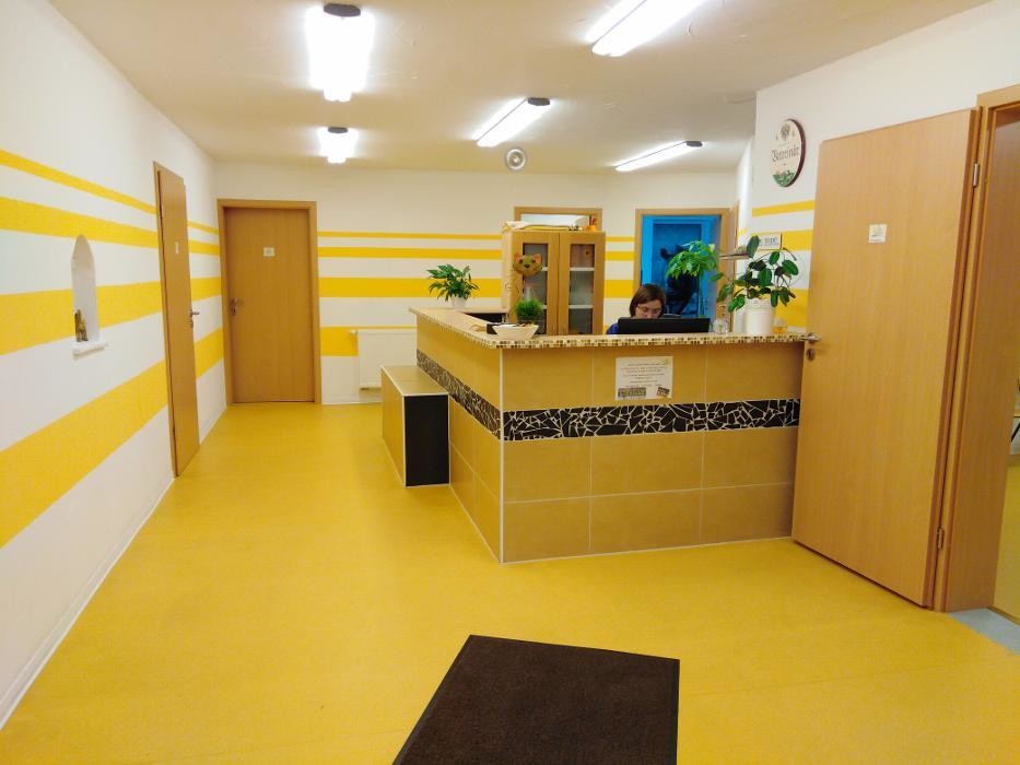 Bilder Tierarztpraxis Sylvia Reiche