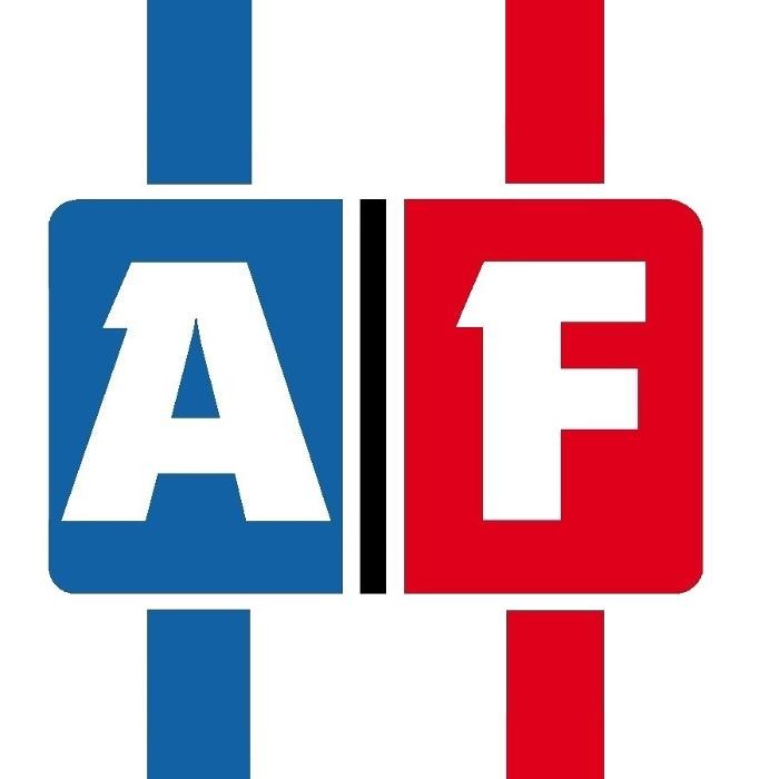 AF - Systemtechnik GmbH Logo