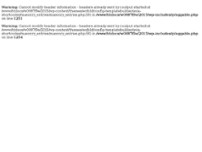 D. Doric Konzept Parkett website screenshot