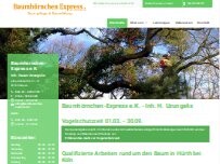 Website Screenshot Baumhörnchen-Express e.K.