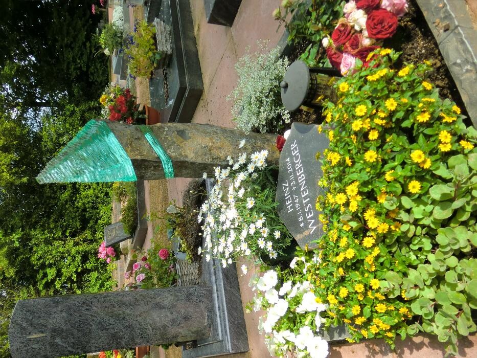 Bilder Steinmetz Dirk Pyka