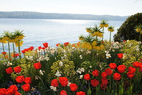 Bilder Gesundheitspraxis habi-Naturgesetze Hans Binder