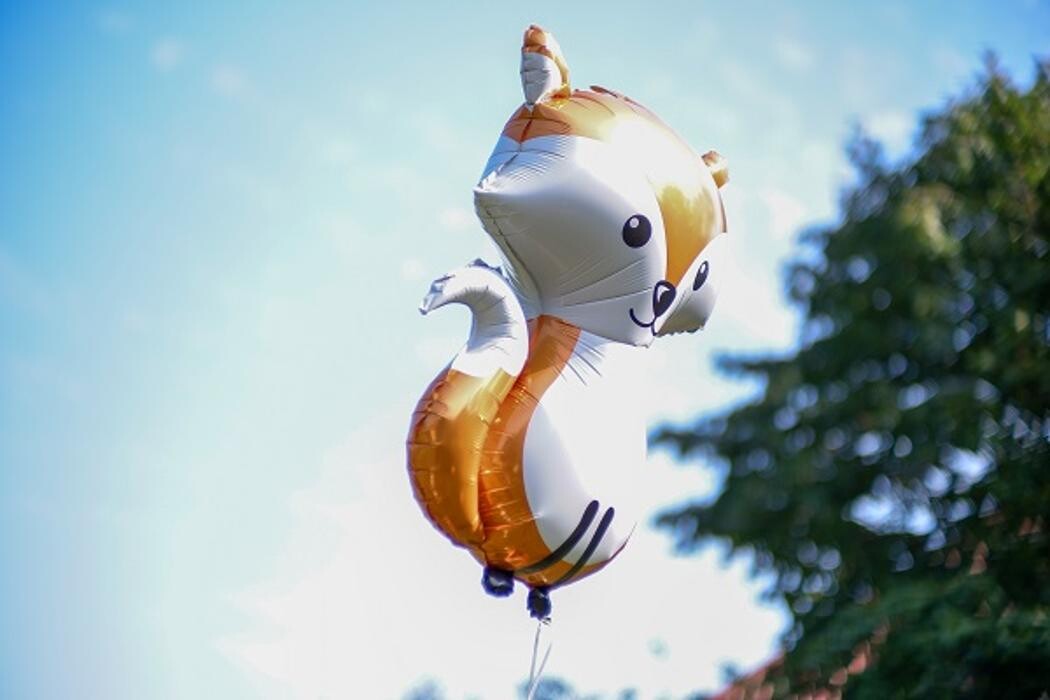 Bilder WBS SCHULEN Halle (Saale)