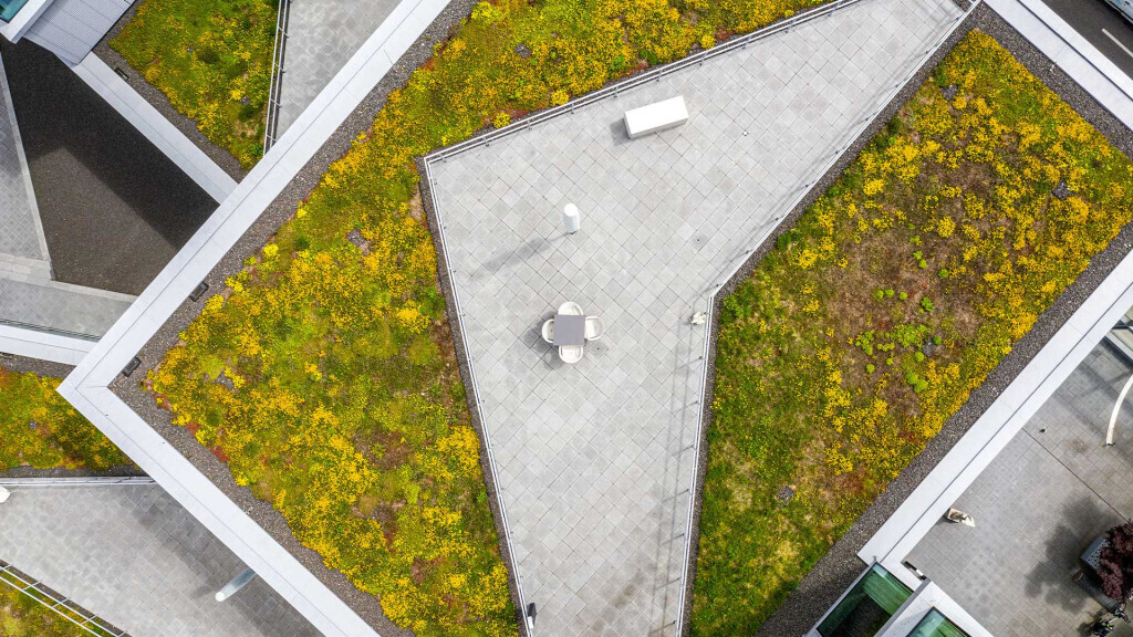 Bilder FINKEL Grünraum GmbH & Co. KG