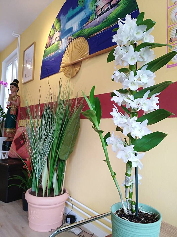 Bilder Somjai Thaimassage